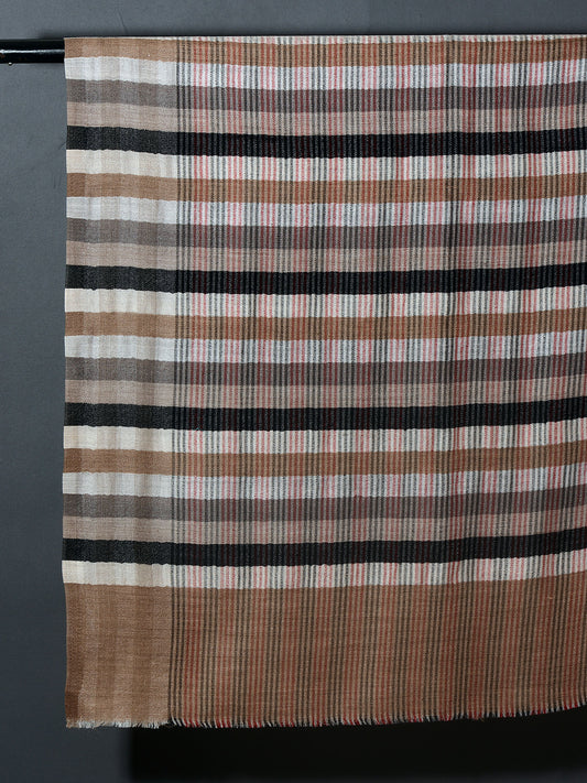 Multi Browns Checks Kashmiri Patterned Pashmina Stole