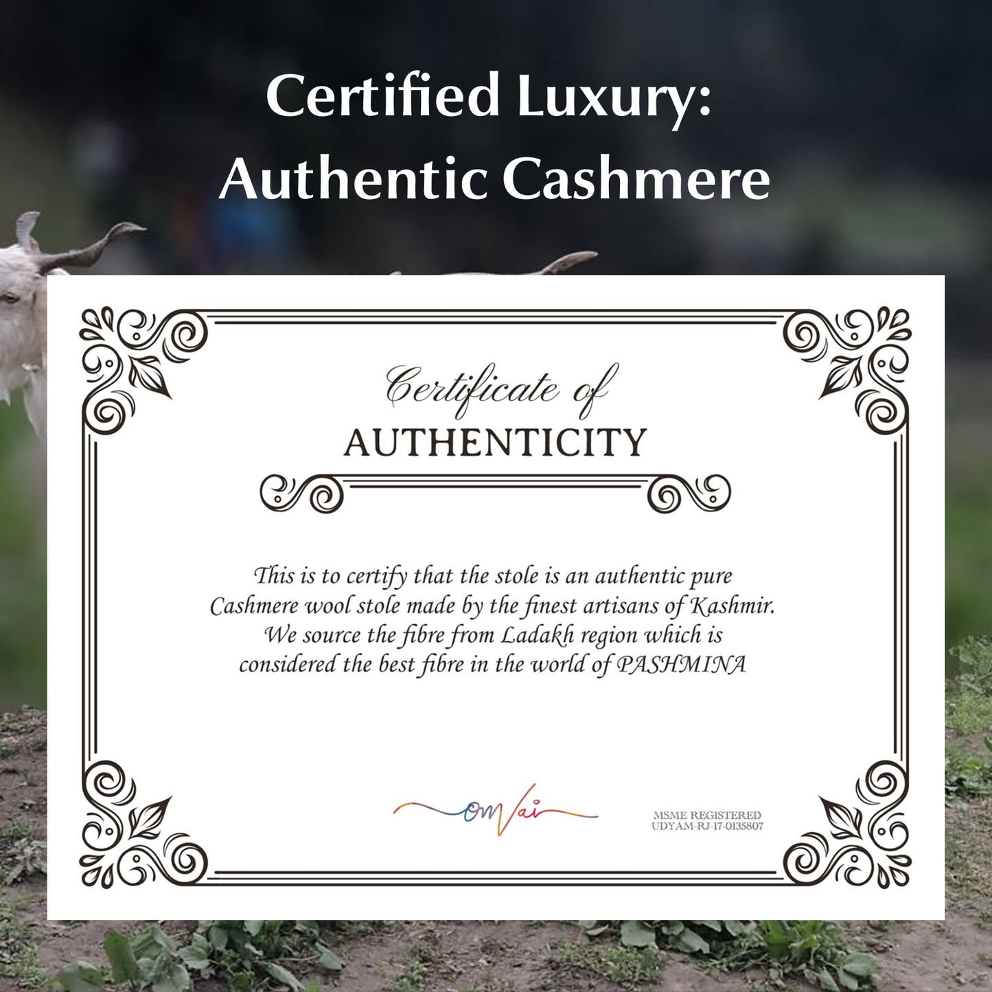 Royal Admiral Blue Solid Pashmina Stole