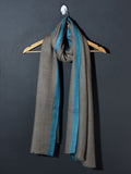 Striped Border Pashmina  - Sky